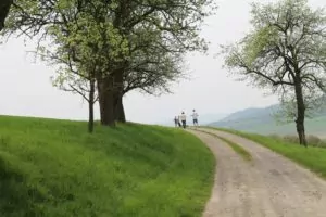 Hiking for children & families in Vienna. Wandern für Kinder & Familien in Wien